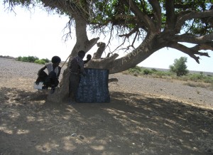 Äthiopien, AFAR, mobile Alphabetisierung