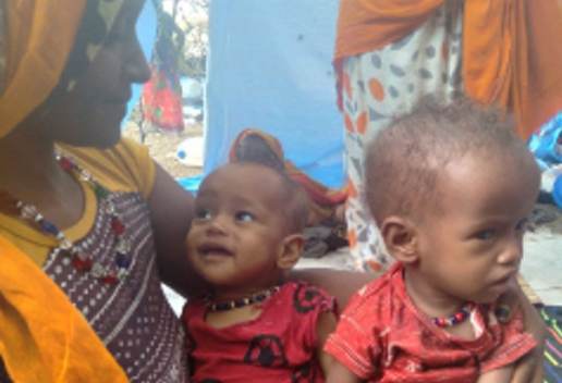 Äthiopien Bürgerkrieg, Hungerssnot