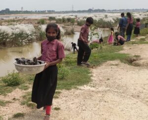 Indische Kinder beteiligen sich an Umweltschutzaktivitäten