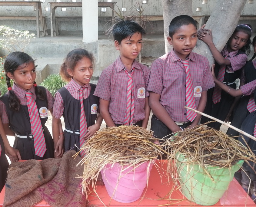 Indische Kinder beteiligen sich an Umweltschutzaktivitäten