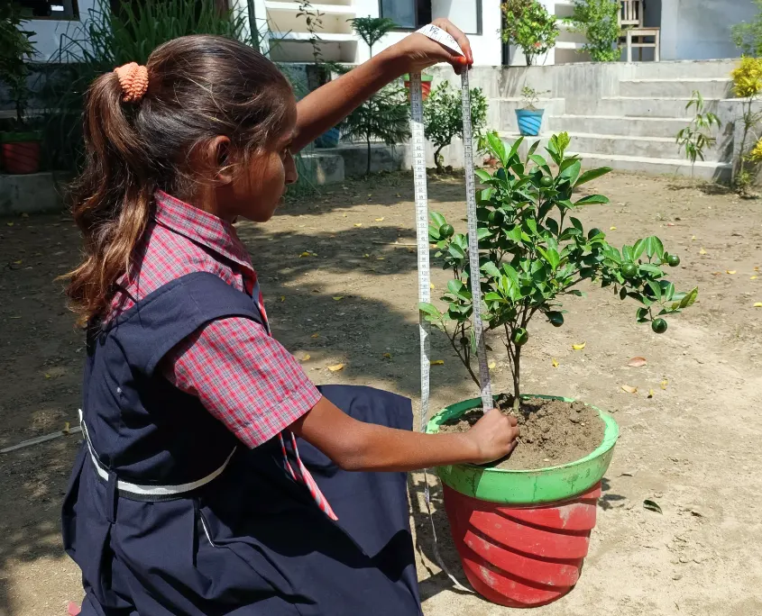 Indisches Mädchen kümmert sich um ihren Baum im Schulhaus
