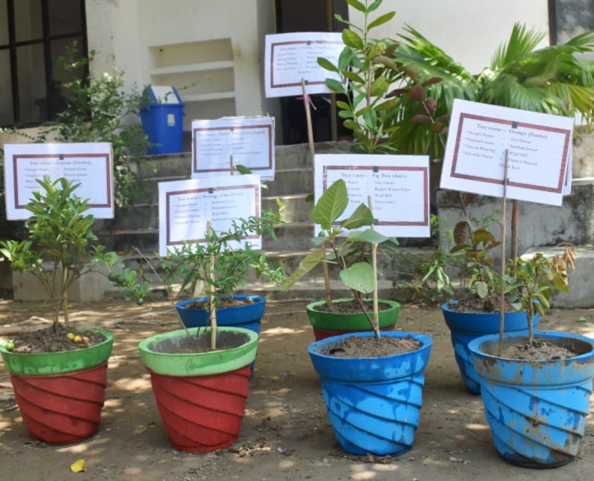 Pflanzen von Bäumen in der Schule zum Schutz der Umwelt