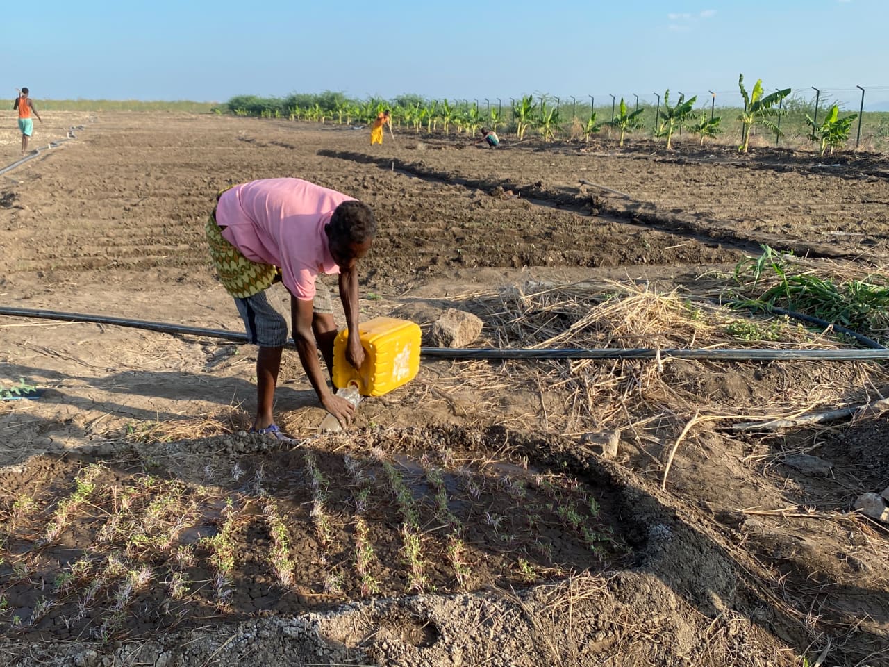 Bewässerung in Äthiopien