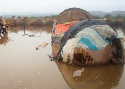 Flutkatastrophe in der Afar-Region Äthiopiens