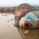 Flutkatastrophe in der Afar-Region Äthiopiens