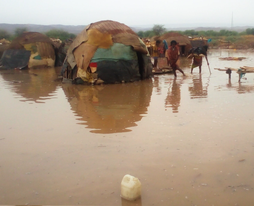 Die Flut in der Afar-Region hat den Menschen alles genommen