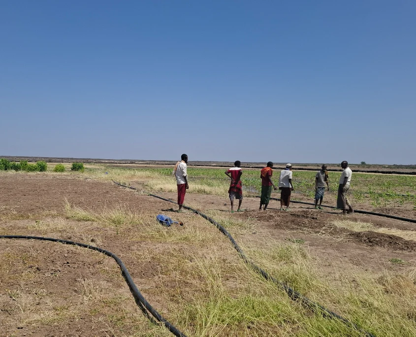 Afar mit Landwirtschaftsprojekt