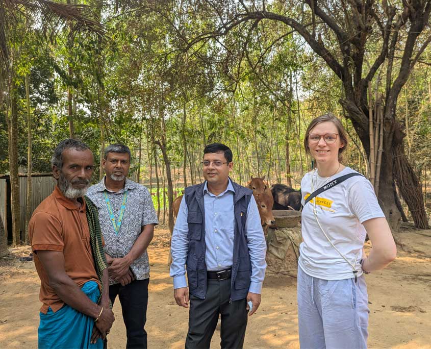 Sonne Mitarbeiter:innen stehen vor Kühen. projektbesuch bangladesch Schule Gesundheit
